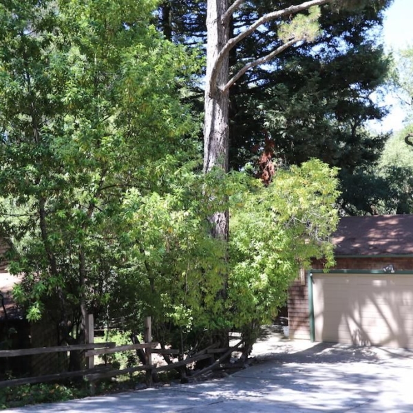 Marbella_Portola Valley