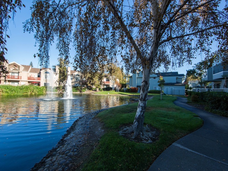 341 Rock Creek Way, Pleasant Hill, CA 94523